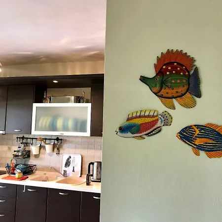 On The فيلة فوركا