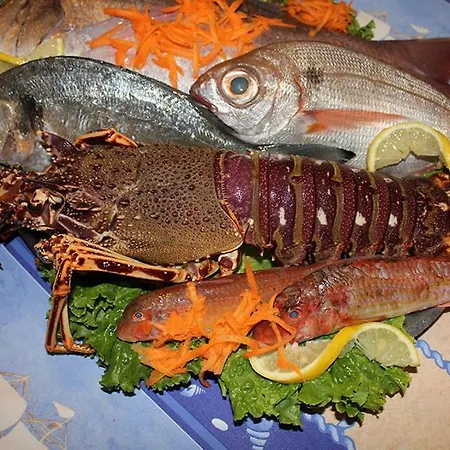 On The فيلة فوركا